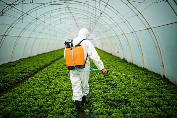 Best Pest Inspection Near Me  in Muscatine, IA