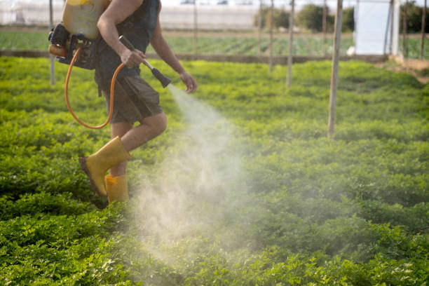 Best Wildlife Control Services  in Muscatine, IA