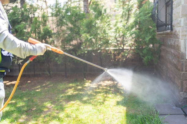 Wasp Removal Services in Muscatine, IA
