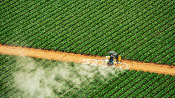 Best Pest Prevention Services  in Muscatine, IA