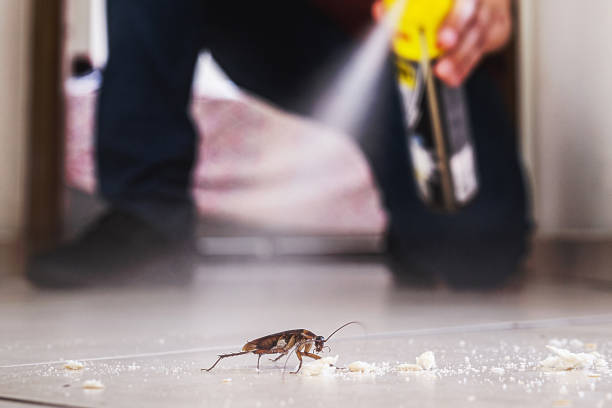 Best Local Pest Control Services  in Muscatine, IA