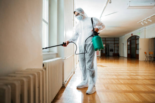 Best Affordable Pest Control Services  in Muscatine, IA